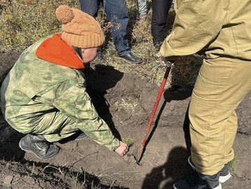 В Туве стартует экологическая акция «Сохраним лес»