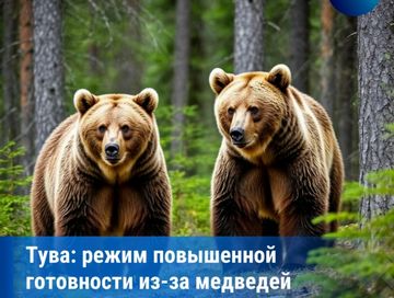 ️В Туве введён режим повышенной готовности из-за выхода медведей к населённым пунктам