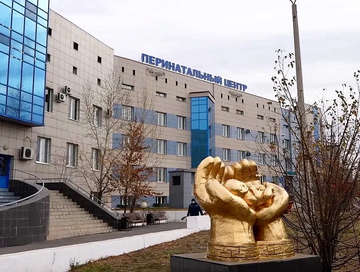 Владислав Ховалыг поздравил акушерок Тувы с профессиональным праздником