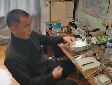 Сентябрьское нашествие мошкары: естественное явление, не представляющее опасности