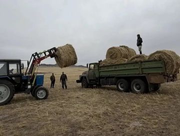 В Эрзинском районе завершили кормозаготовительную кампанию