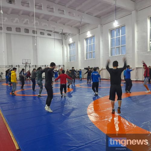 Владислав Ховалыг: «Тува становится международным центром развития вольной борьбы»