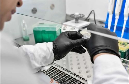 На границе Монголии и России обнаружен патоген бубонной чумы