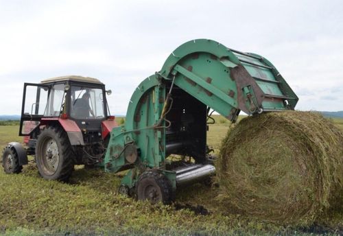 Тува приступила к массовой заготовке кормов