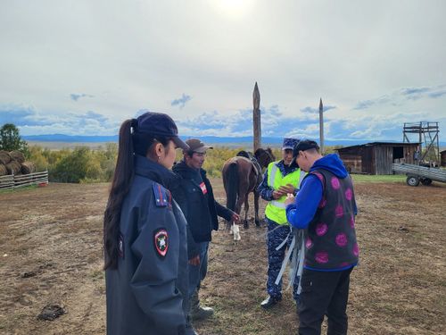 В Туве продолжаются рейды по пресечению бесконтрольного выпаса скота