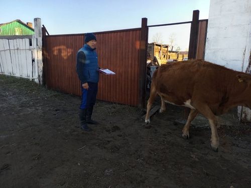 В Кызылском районе идут работы по внедрению электронной похозяйственной книги