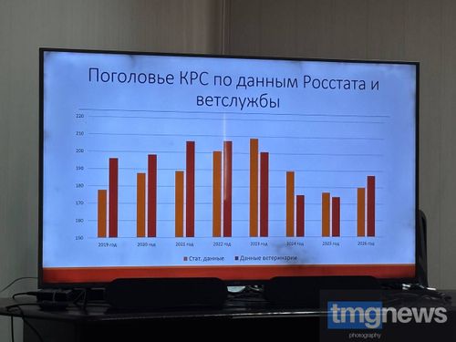 Служба ветеринарии Тувы подвела итоги работы за 2025 год