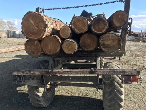 В Сут-Хольском районе возбуждено уголовное дело по факту незаконной рубки лесных насаждений