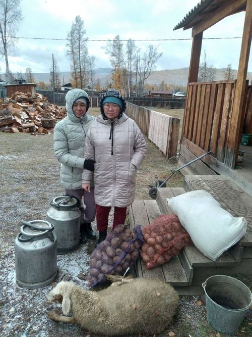 В Туве завершается оказание первичной помощи семьям мобилизованных сельхозпродукцией