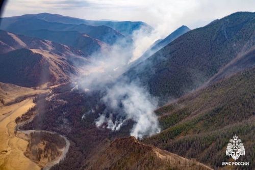 За сутки в Туве возникло два лесных пожара