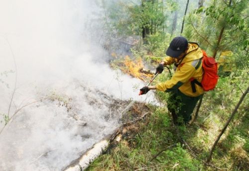 В Туве за сутки ликвидировано два лесных пожара