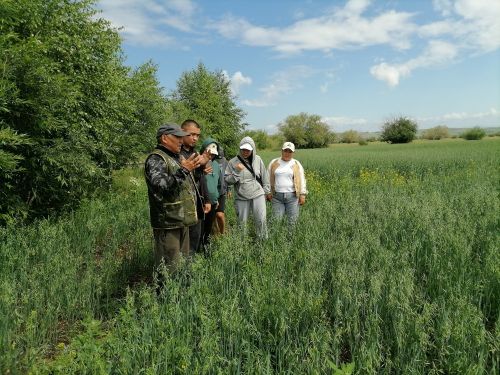 Будущие агрономы Тувы закрепляют знания на практике