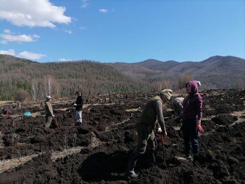 Студенты сельскохозяйственного факультета приняли участие в акции «Сад памяти»