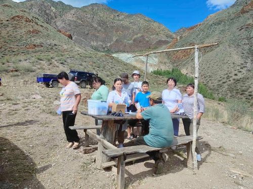 Медики Тувы проводят профилактические рейды по аржаанам республики