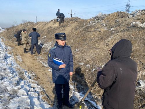 Жителю Тувы назначили 100 часов обязательных работ за неоплаченные алименты