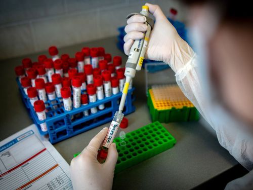 Коронавирустан аарыыр чорук эвээжезе-даа, серемчилелди кошкатпас