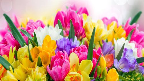 План мероприятий, посвященный празднованию Международного женского праздника 8 Марта