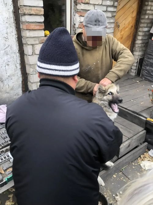 В Туве подвели итоги акции «Сообщи о нерадивом хозяине»