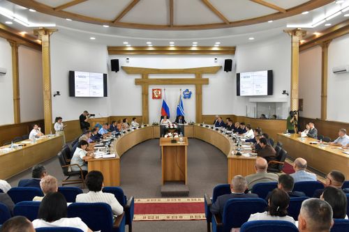 Детский омбудсмен России обсудила с Главой Тувы вопросы по защите детей