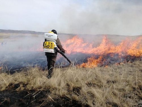 В Кызылском районе произошёл степной пожар