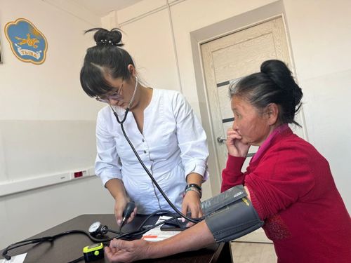 Мобильная медицинская бригада «Маршрут здоровья» посетила Тере-Хольский район