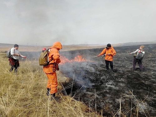 Тывада өрт айыылының сезону эгелээн