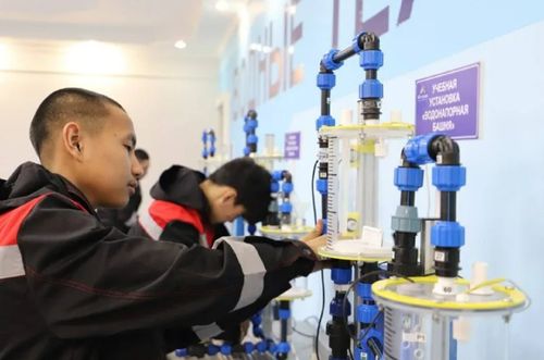 В Туве создадут Центр опережающей профессиональной подготовки