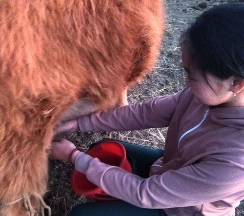 Өг-бүлелерниң езулуг-ла чемгерикчизи