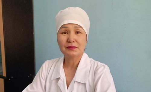 Араганы ижер мурнунда шыңгыы боданыңар