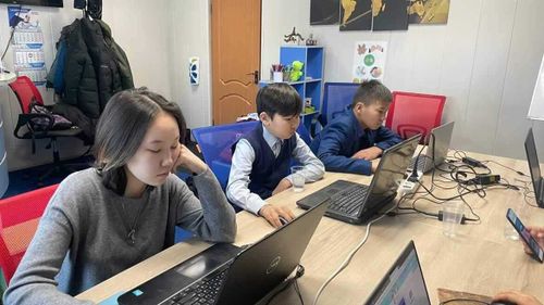 Школьники Тувы присоединились к Всероссийской онлайн-олимпиаде по финансовой грамотности