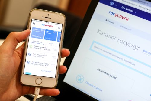 В Госдуме предложили создать для молодых мам раздел на госуслугах