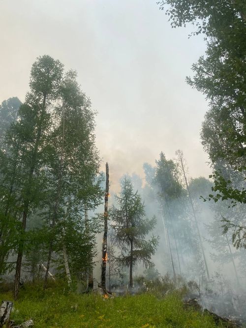 В Туве действует 31 лесной пожар на общей площади 25718 га