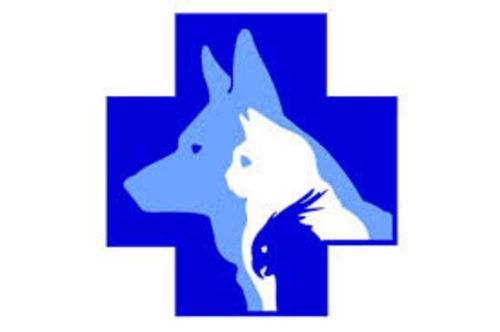 В городе Ак-Довураке открывается ветеринарная аптека