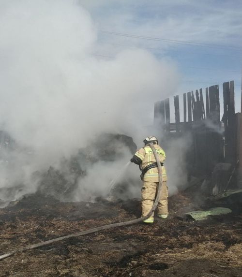Житель Тандинского района понесет наказание за сжигание сухой травы
