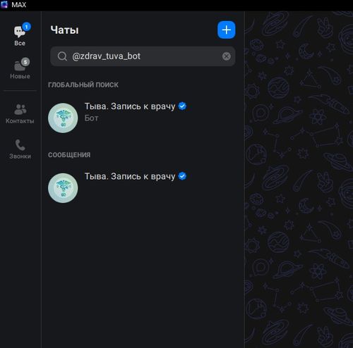 Записаться к врачу в Туве теперь можно через чат-бота в мессенджере MAX