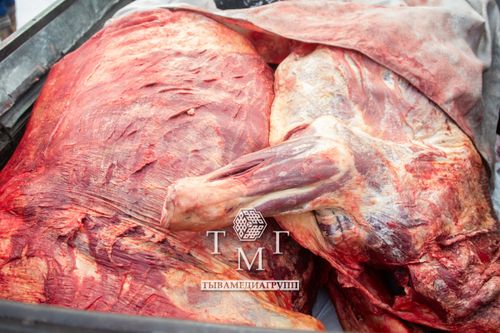 В Туве продолжается акция по сбору новогоднего груза в зону СВО