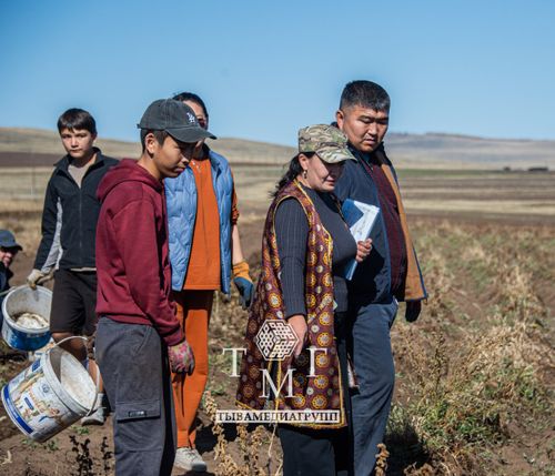 В сельхозкооперативе «Земля надежды» Тандинского района стартовала активная фаза уборочной кампании картофеля.