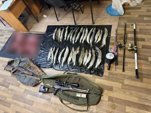 В Туве задержали браконьеров с тушей косули и 27 щуками