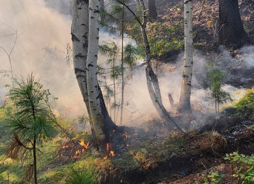 В Тоджинском лесничестве за минувшие сутки ликвидирован один пожар