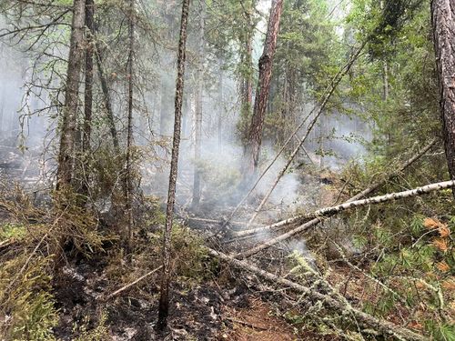 В Туве действует 32 лесных пожара на общей площади 15129,49 га