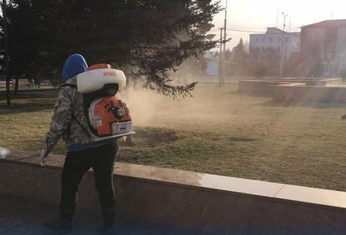 Роспотребнадзор Тувы отметил раннее пробуждение клещей