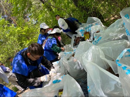 Активисты Тувы организовали субботник ко Дню эколога