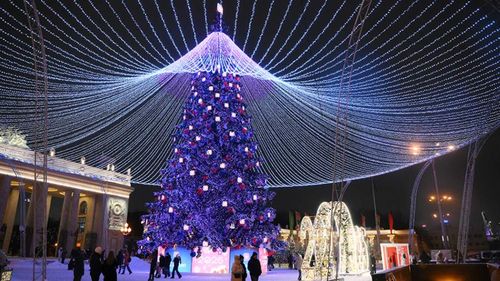 Жителей Тувы приглашают выбрать главную ёлку страны