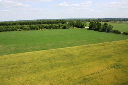 Минсельхозпрод РТ объявил о старте приёма заявок на земли сельхозназначения на 2024 год
