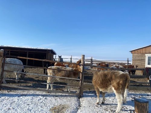 В Тандинском районе проверили готовность чабанских стоянок к завершению зимовки