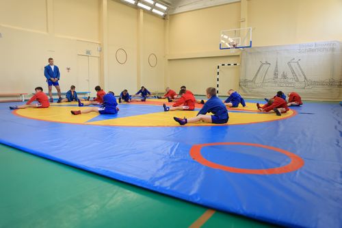 «Единая Россия» в рамках партпроекта «Zа самбо» откроет новые секции самбо в России и на Донбассе