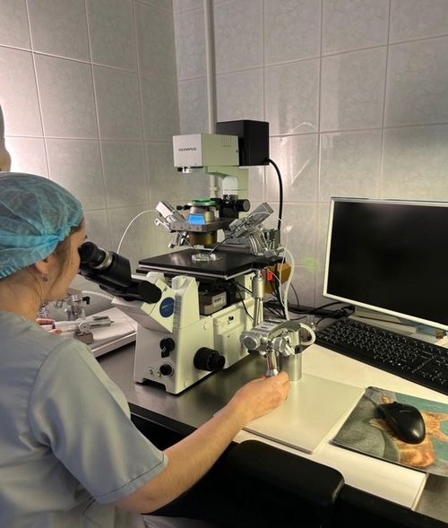 В Туве с начала года 90 семей прошли обследование на процедуру ЭКО