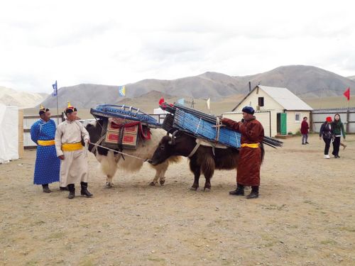 В Туве пройдёт фестиваль яководов