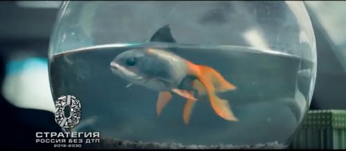 Не приближайся