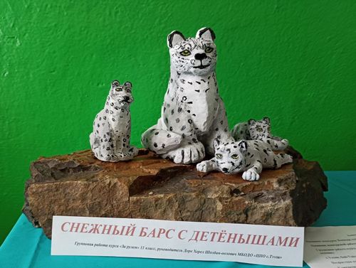 В Туве прошел фестиваль, посвященный снежному барсу